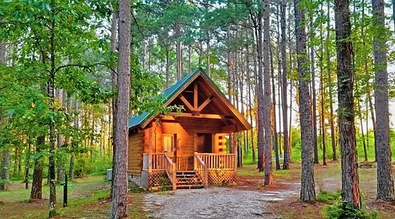 Arkansas Log Cabin in the Woods