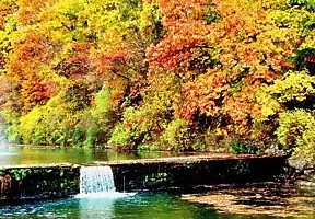 Stream Waterfall Arkansas