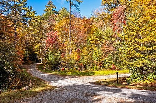 We Buy Arkansas Land