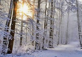 Winter Trail Arkansas Winter Trail Arkansas