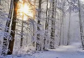 Winter Trail Arkansas
